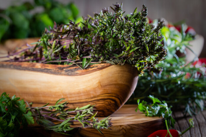 plante aromatice