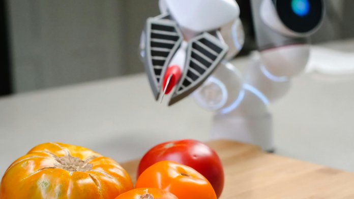 Cum va folosi Comisia Europeană inteligența artificială pentru a lupta împotriva fraudelor alimentare