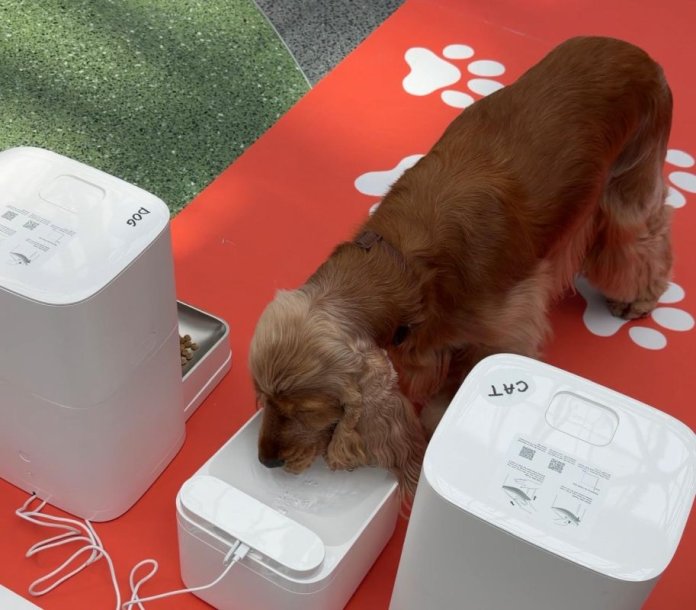 Cum poți să îți lași animalul de companie singur câteva zile cu ajutorul tehnologiei